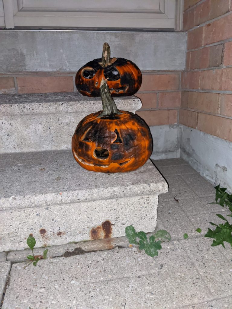 Rotting Pumpkins